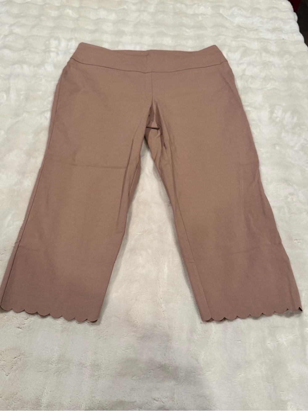 Women’s Medium Nina Leonard cropped pull-on pants NWT